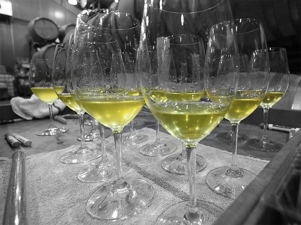 Monochrome California White Wine Glasses
